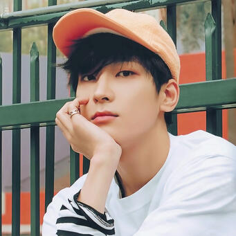 wonwoo, seventeen